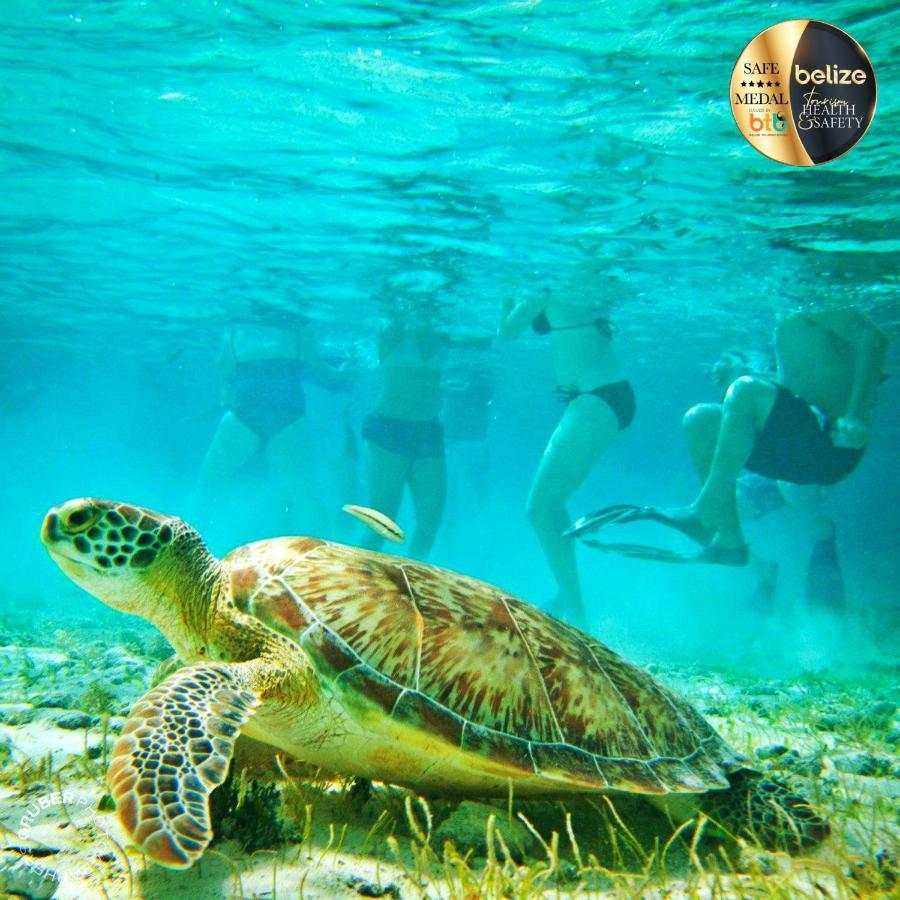 Portofino Beach Resort-An Authentic Island Escape! サン・ペドロ エクステリア 写真